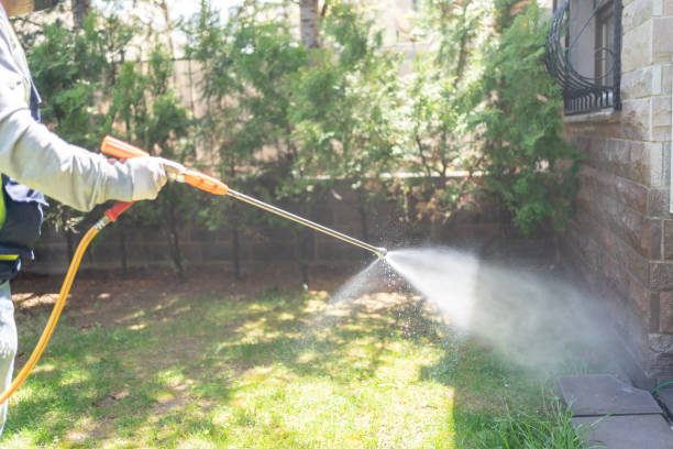 Best Mosquito Control Services  in Hobart, IN