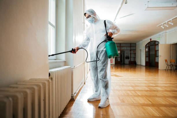 Best Termite Control Services  in Hobart, IN