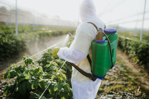 Best Wasp Removal Services  in Hobart, IN